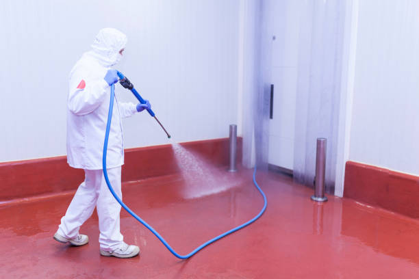 Best Commercial Pressure Washing in Sedalia, MO